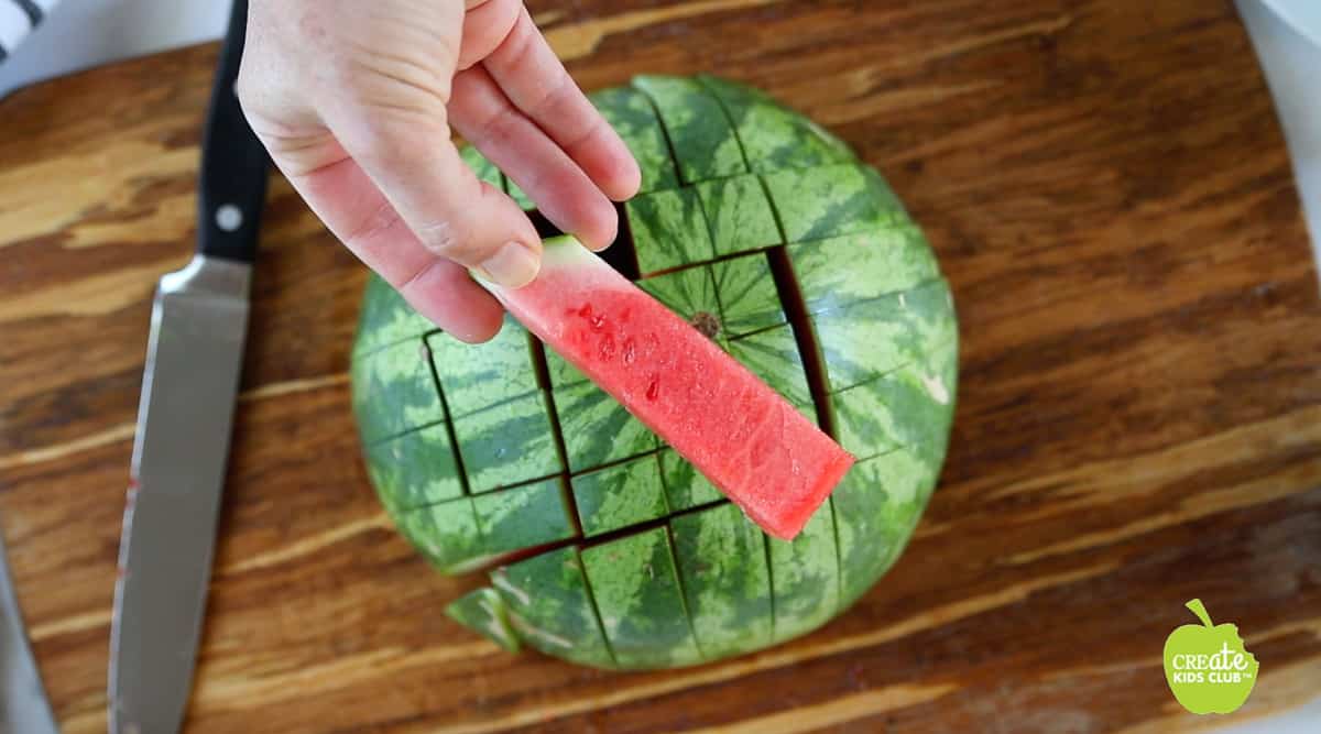 A watermelon stick held close to the camera with sliced watermelon below. 