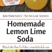 Homemade Soda Recipes: Homemade soda is a great sugar free alternative to store bought soda. Kids have a blast mixing their own flavor combinations with the fruit of their choice. Perfect for sleep overs and or as a kids cooking activity.