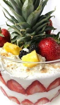 a fruit trifle shown up close