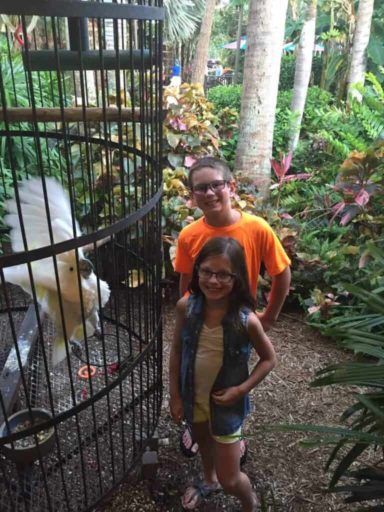 Sanibel Island With Kids