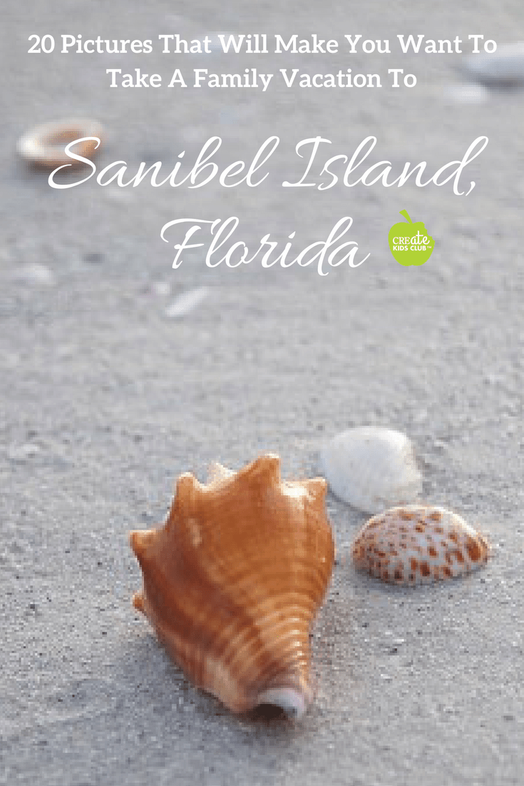 The best US vacation destination for families from toddlers to teens! Sanibel Island is one of the best family vacation destinations in the US. If you're looking to travel the United States with kids this summer, plan your vacation to Sanibel Island, Florida. Check out the top 10 things to do on the islands with kids! #sanibelisland #familyvacation #USfamilytravel #budgetvacation #bestfamilyvacation #florida