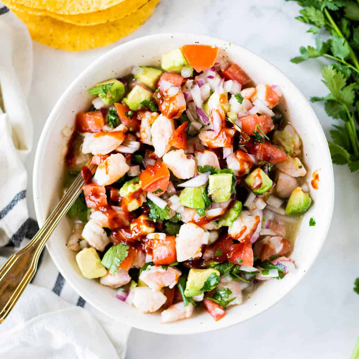 Mexican Shrimp Ceviche Recipe Jodi Danen Rdn Create Kids Club Raw shrimp, fresh lemons, red onion, serrano chiles, cilantro, cucumber, roma tomatoes, avocado, clamato, and salt. mexican shrimp ceviche recipe