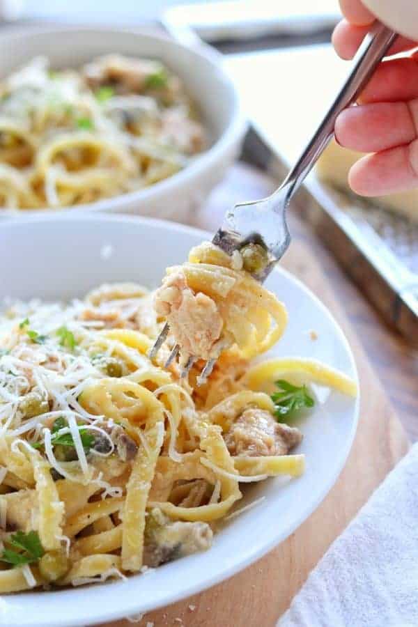 a fork with salmon pasta 