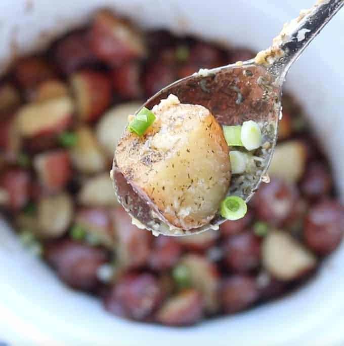 Slow Cooker red potatoes shown close up on a spoon with the rest of the crockpot potatoes in the background blurred.
