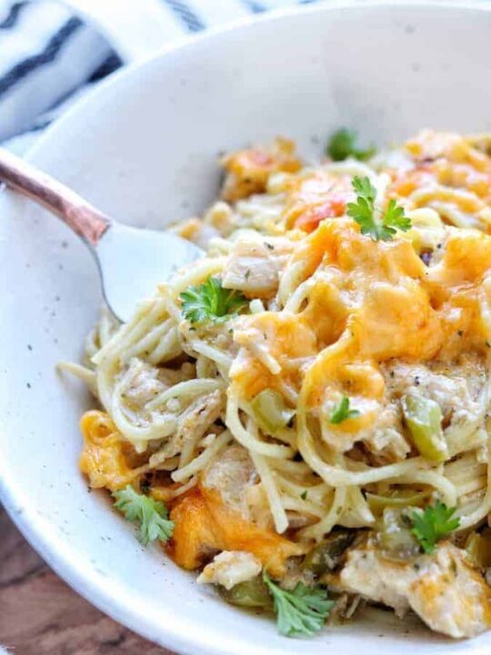 A close up of chicken spaghetti with melted cheese.