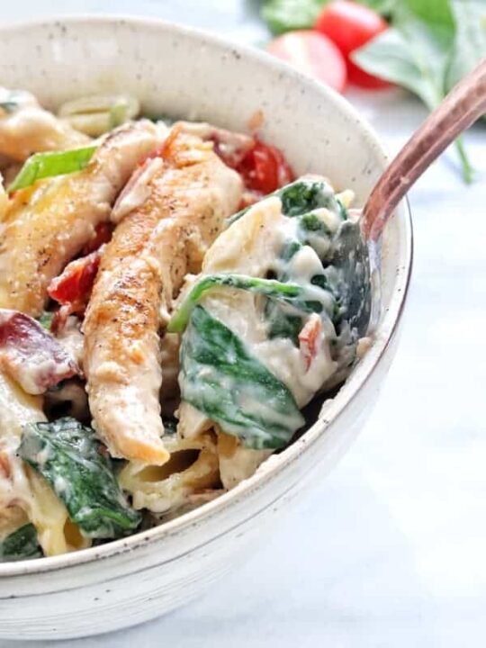 a close up of creamy chicken and spinach