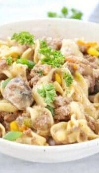 Instant pot beef stroganoff recipe a ground beef stroganoff recipe
