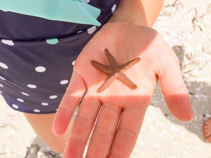 Girls with baby starfish in her hand on Sanibel Island Florida
