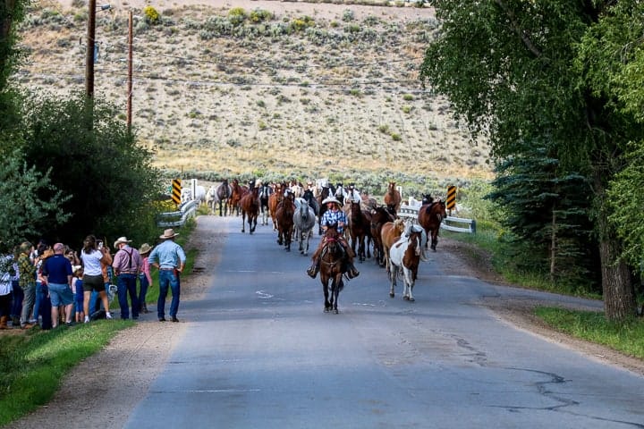 A group of people riding a horse on the side of a road