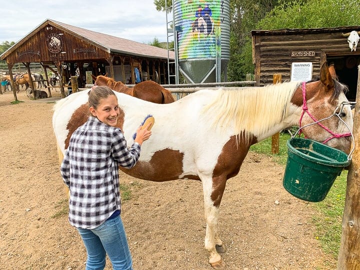 a tween girl petting and bathing a white and brown horse outside of a barn on a family dude ranch with a log cabin in the back.