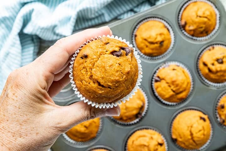 chocolate chip muffin being held up