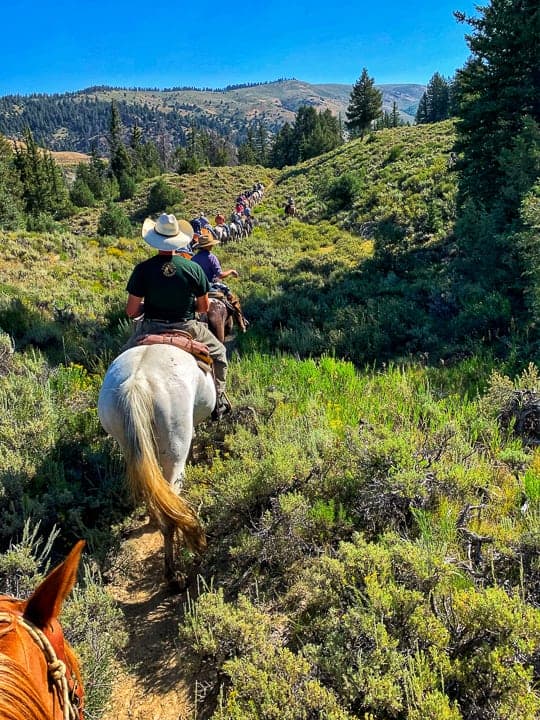 A long line of riders of all ages on horses on a path through the country side with mountains in the distance and grass and shrubry around