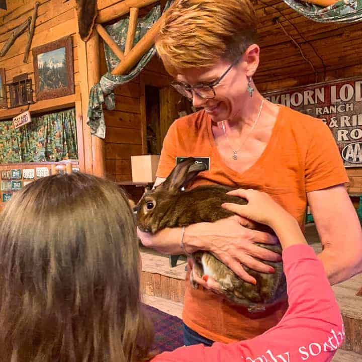 Nature Educators visiting the family dude ranch to show the children a variety of animals and let the kids pet and ask questions. 