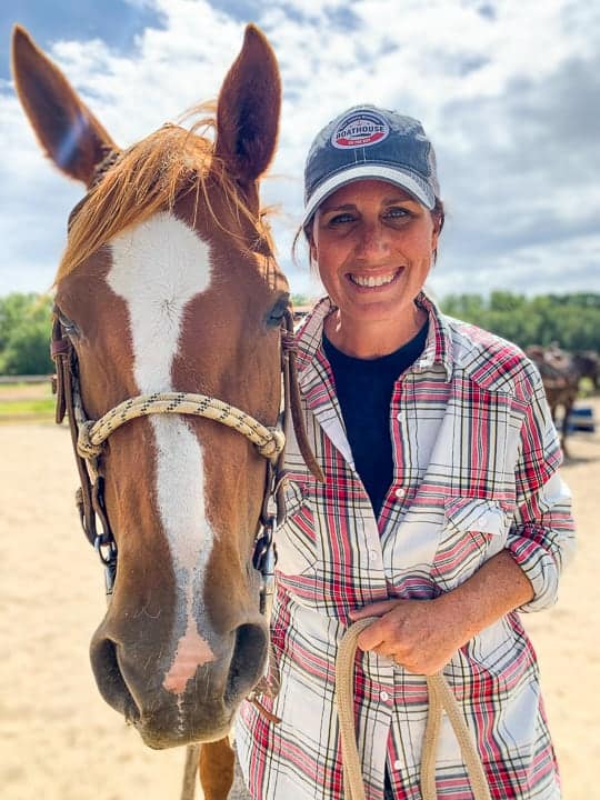 A close up of a brown horse standing next to a person