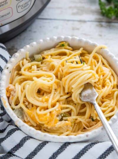 A bowl of  Chicken and Spaghetti