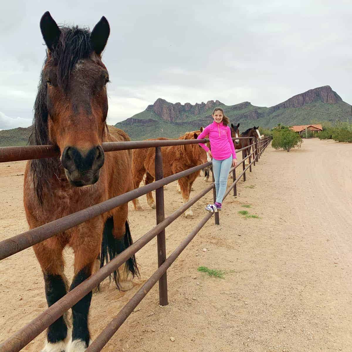 White Stallion Ranch, the Best All-Inclusive Resort in Arizona showing a young girl staying on a gate next to horses on a dude ranch.