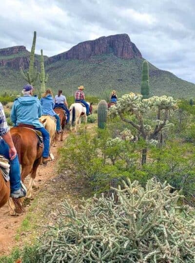 A group of people riding horses down a dirt path in the dessert