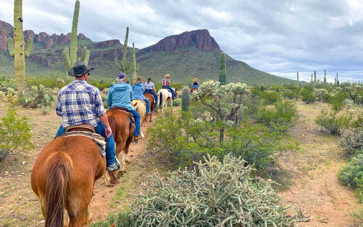 A group of people riding horses down a dirt path in the dessert