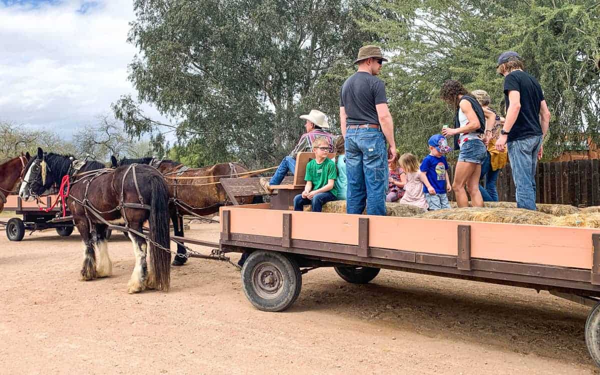 A man riding a horse drawn carriage traveling down a dirt road