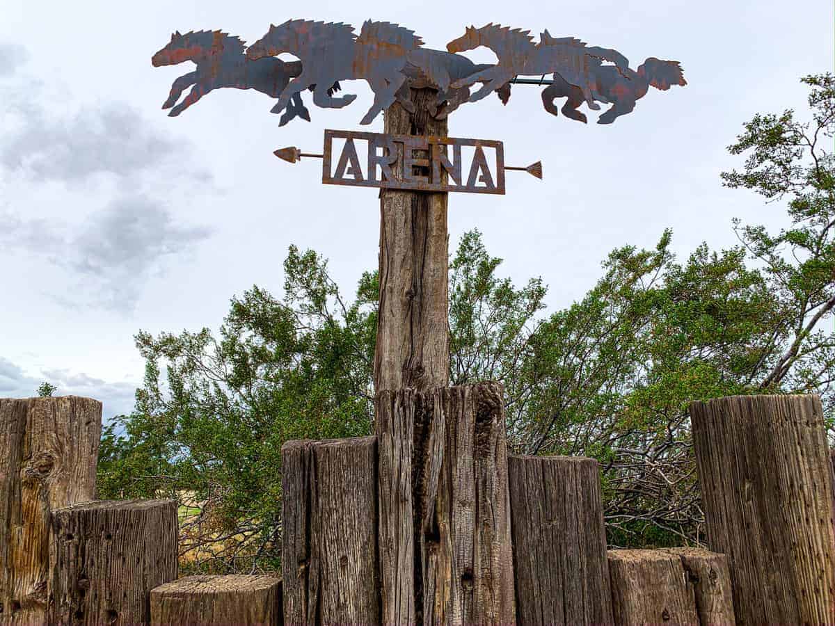 White Stallion Ranch, the Best All-Inclusive Resort in Arizona showing the arena were you are able to try cattle sorting and team penning.