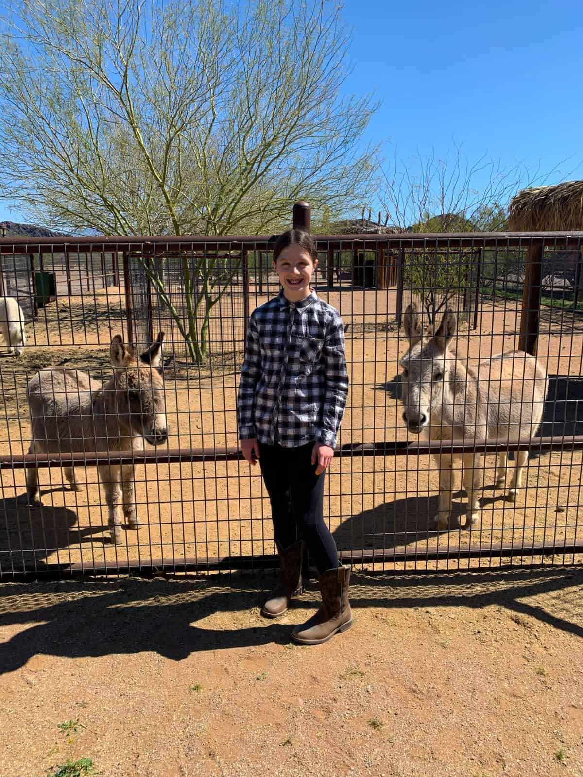 White Stallion Ranch, the Best All-Inclusive Resort in Arizona showing a young girl standing by the petting zoo gate.