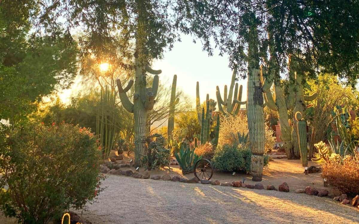 White Stallion Ranch, the Best All-Inclusive Resort in Arizona, showing the local scenery with the sun rising.