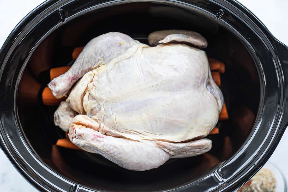 A raw whole chicken placed on peeled carrots all in the base of a black slow cooker. 