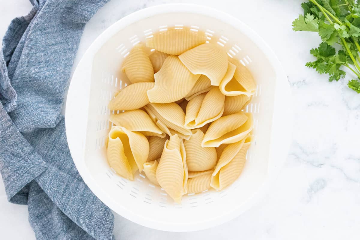 cooked Pasta shells