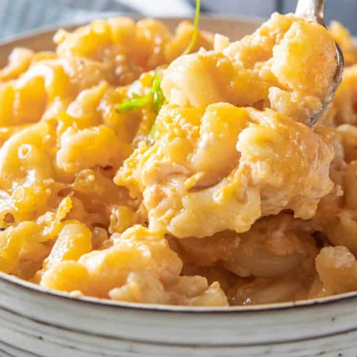 crockpot mac n cheese recipe with cream cheese crockpot mac n cheese recipe with cream cheese