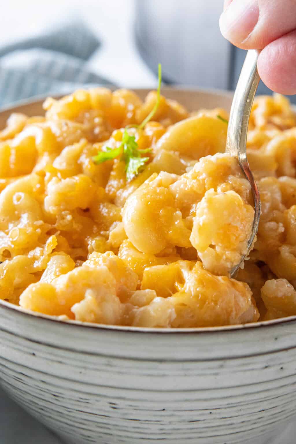 the best crock pot mac and cheese recipe