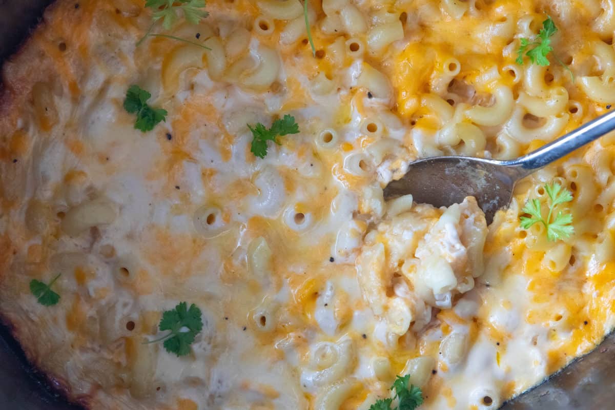 Mac and cheese being shown in a crockpot with a spoon scooping a bite.