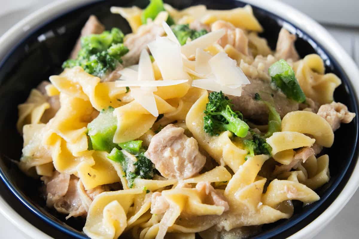 Chicken and noodles in a bowl with shaved parmesan on top. 