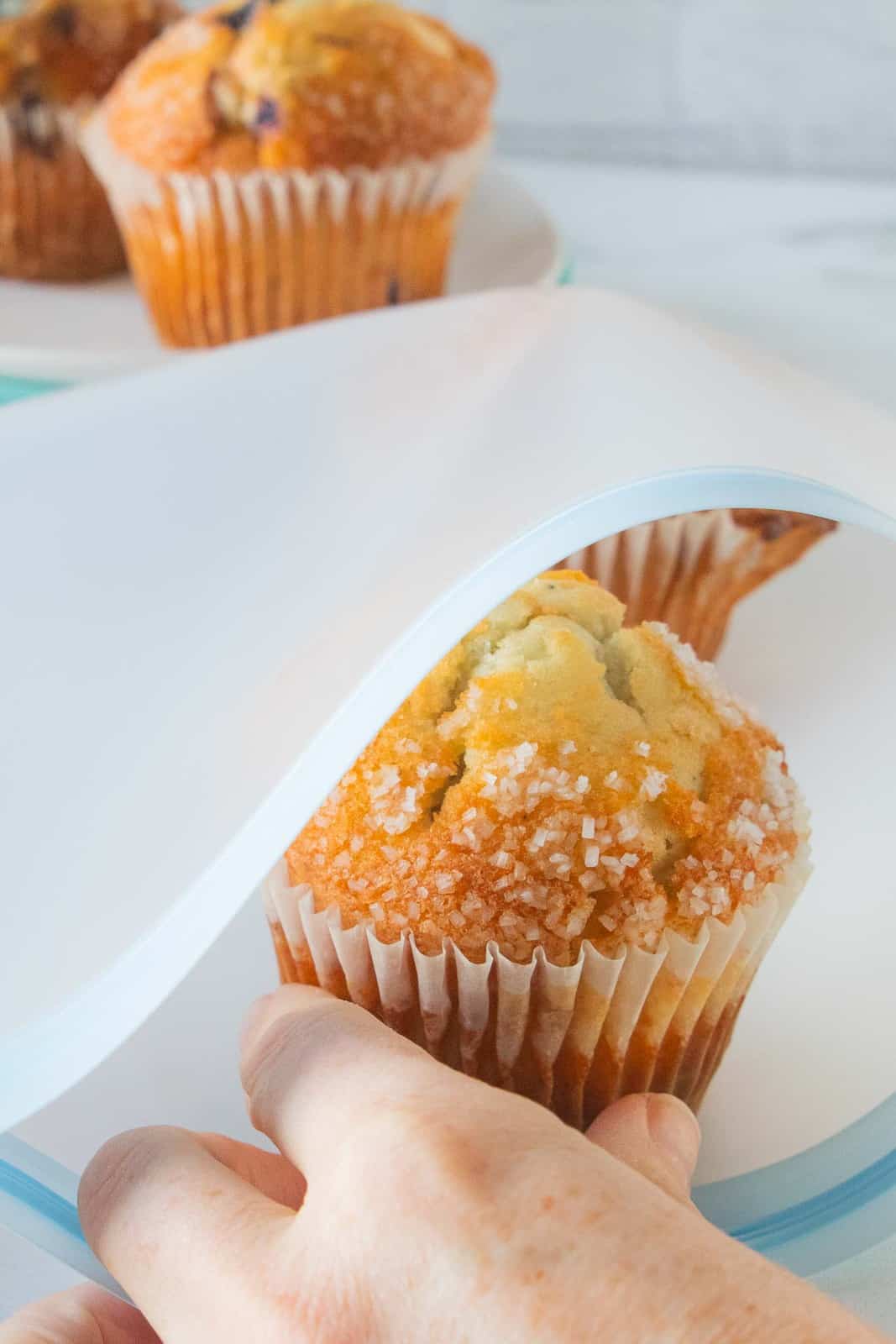 Muffin placed in freezer bag