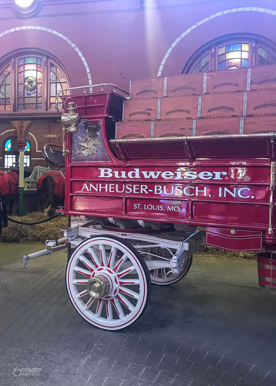 The Budweiser Experience 