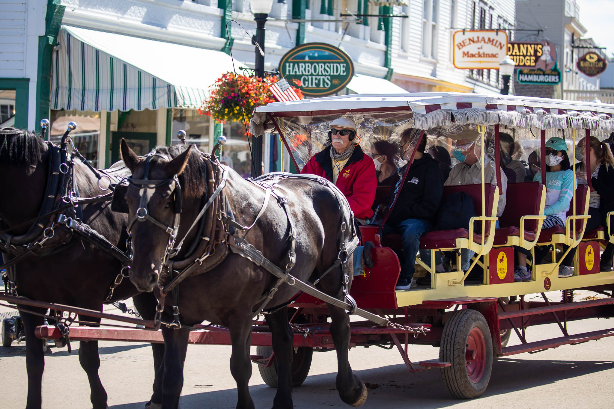 Mackinac Island carriage tour