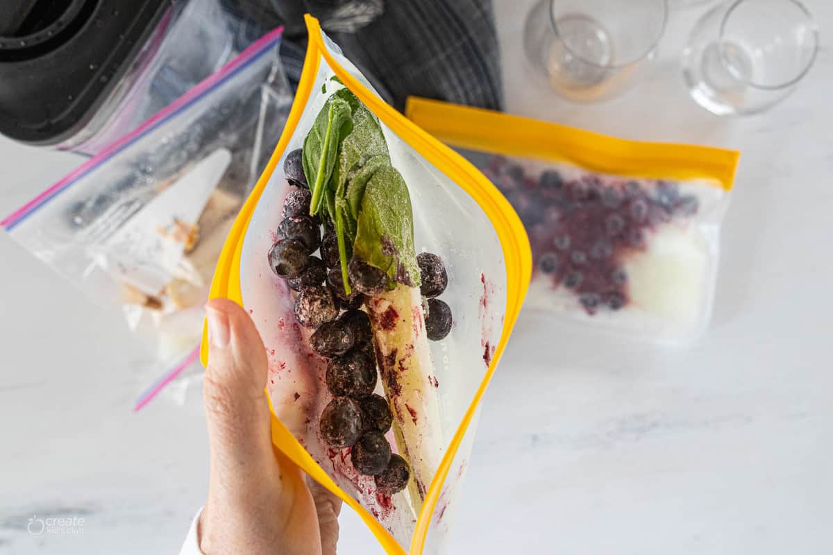 freezer smoothie packs in bags