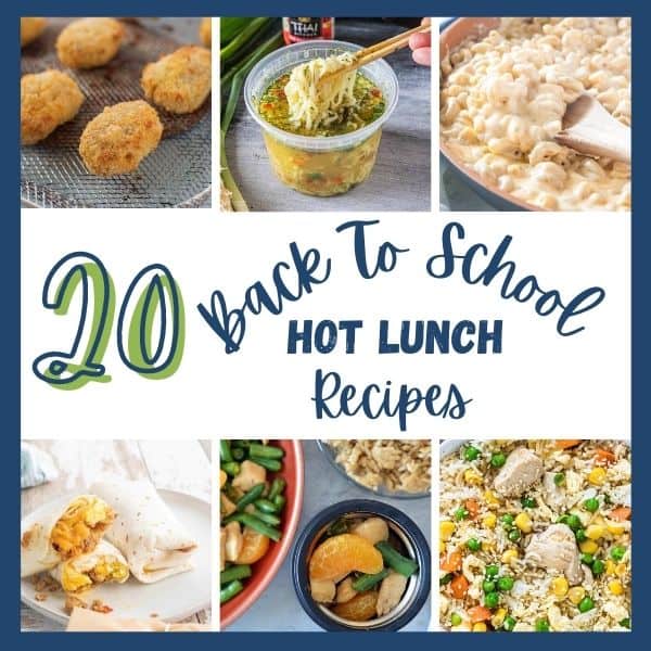 20 Hot School Lunch Ideas for Kids - Thermos Tips & Tricks