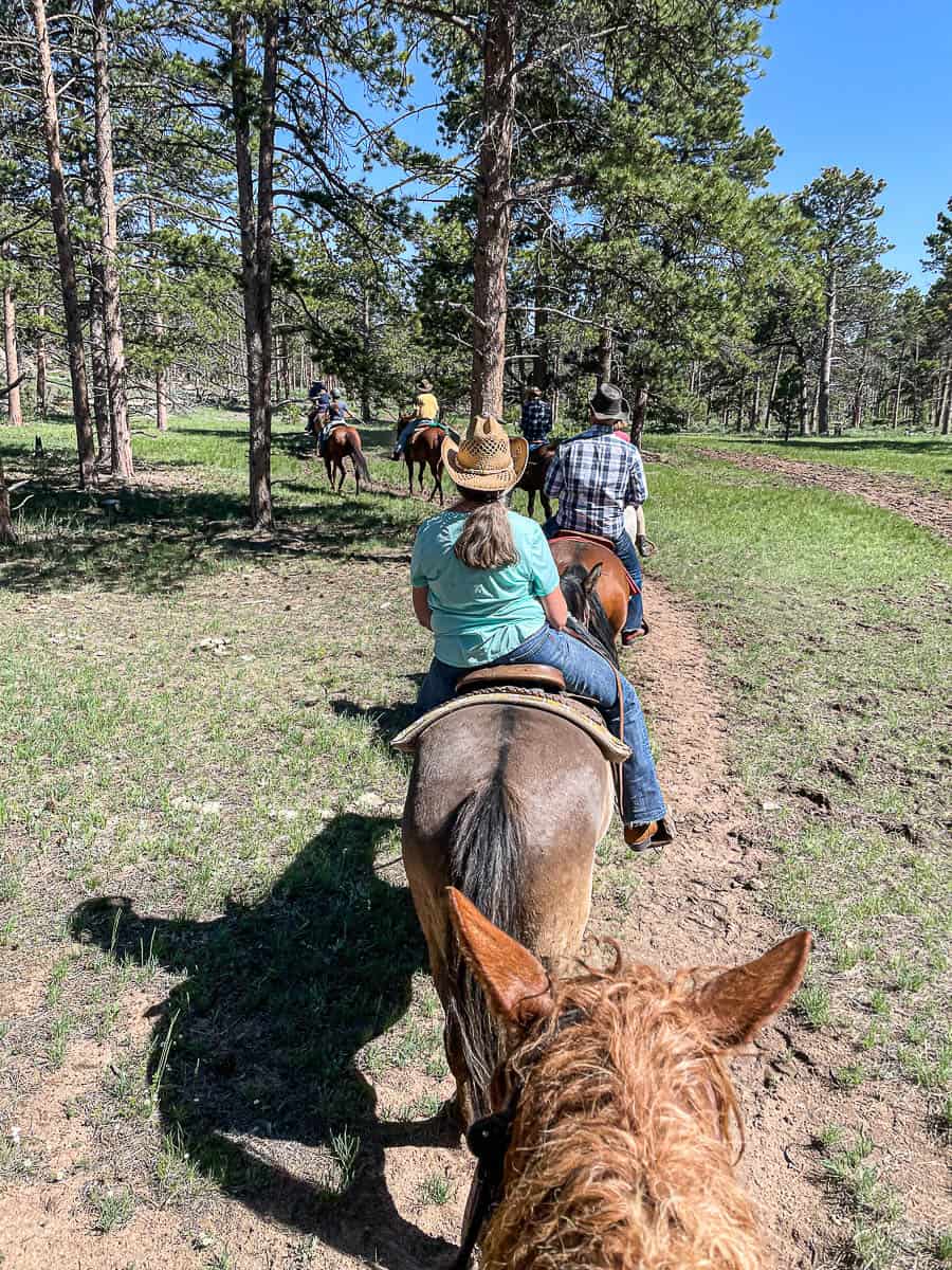 ranch guests riding horses