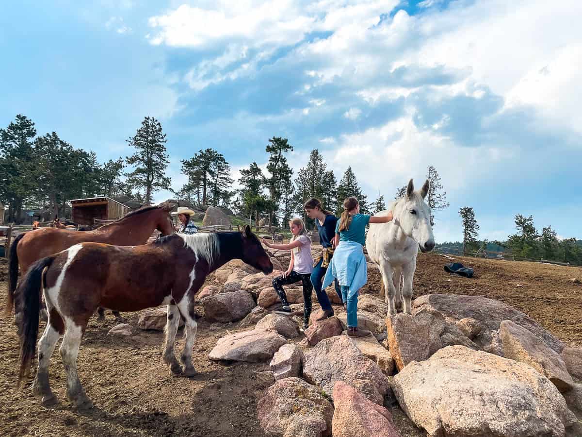 girls petting horses