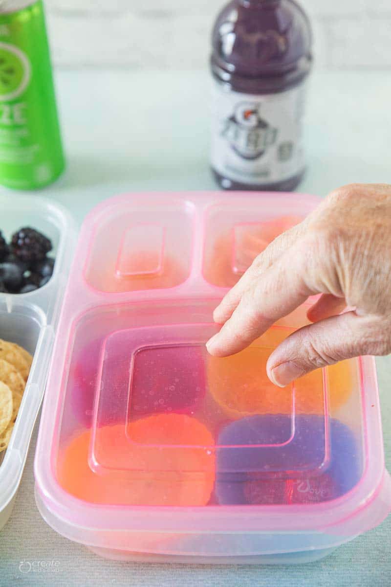 What's in Our Lunch Box - A DIY Lunchable! » The Denver Housewife