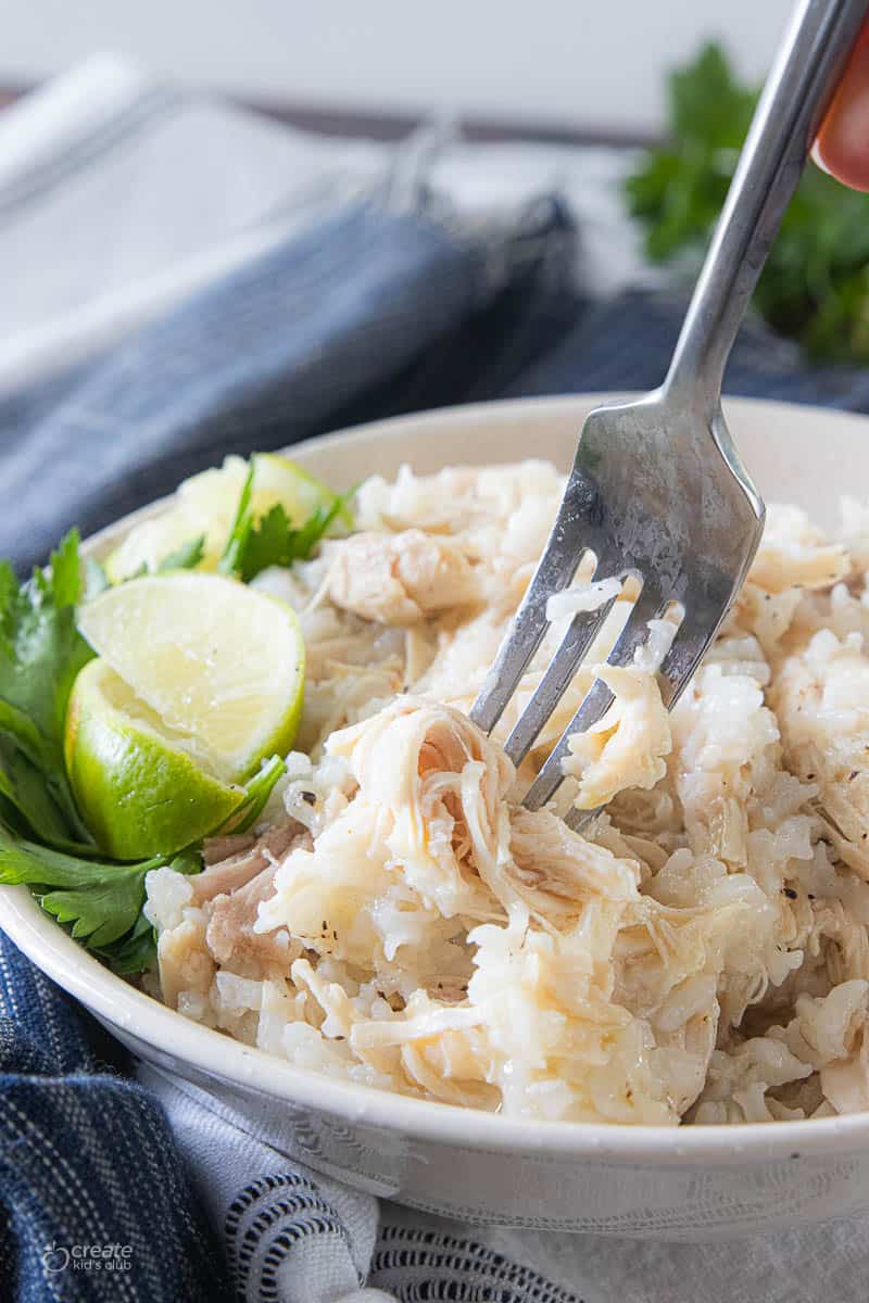 boiled chicken and rice in bowl with fork