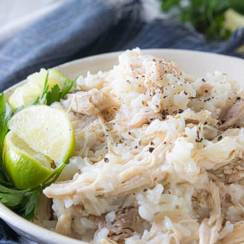 boiled chicken and rice in bowl