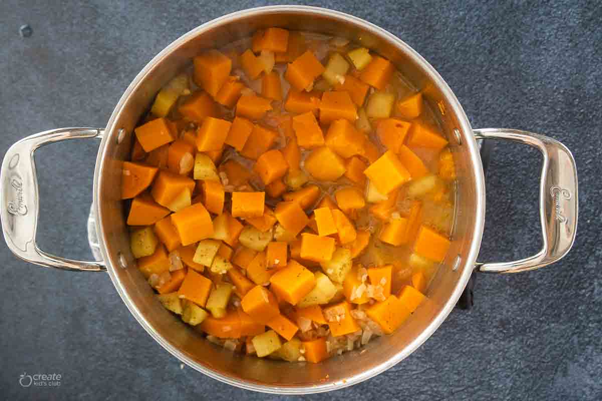 chopped butternut squash in stock pot with broth and seasoning