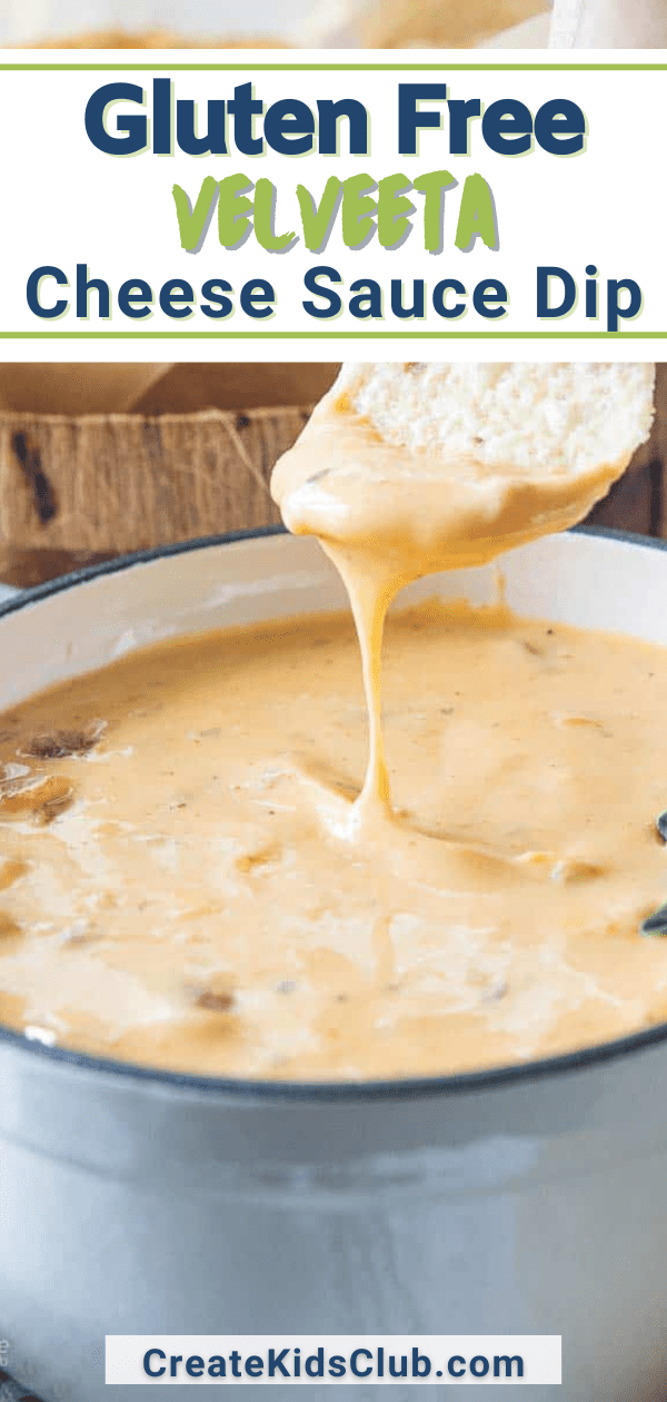 Velveeta Cheese Sauce Dip