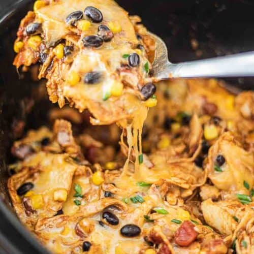 Mini Crockpot Chicken Enchiladas - The Charming Detroiter