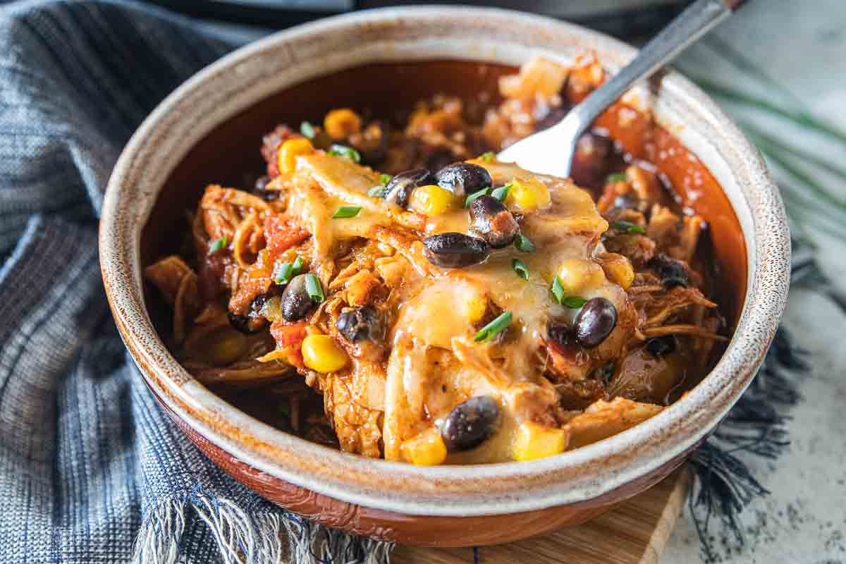 chicken enchilada in bowl with fork