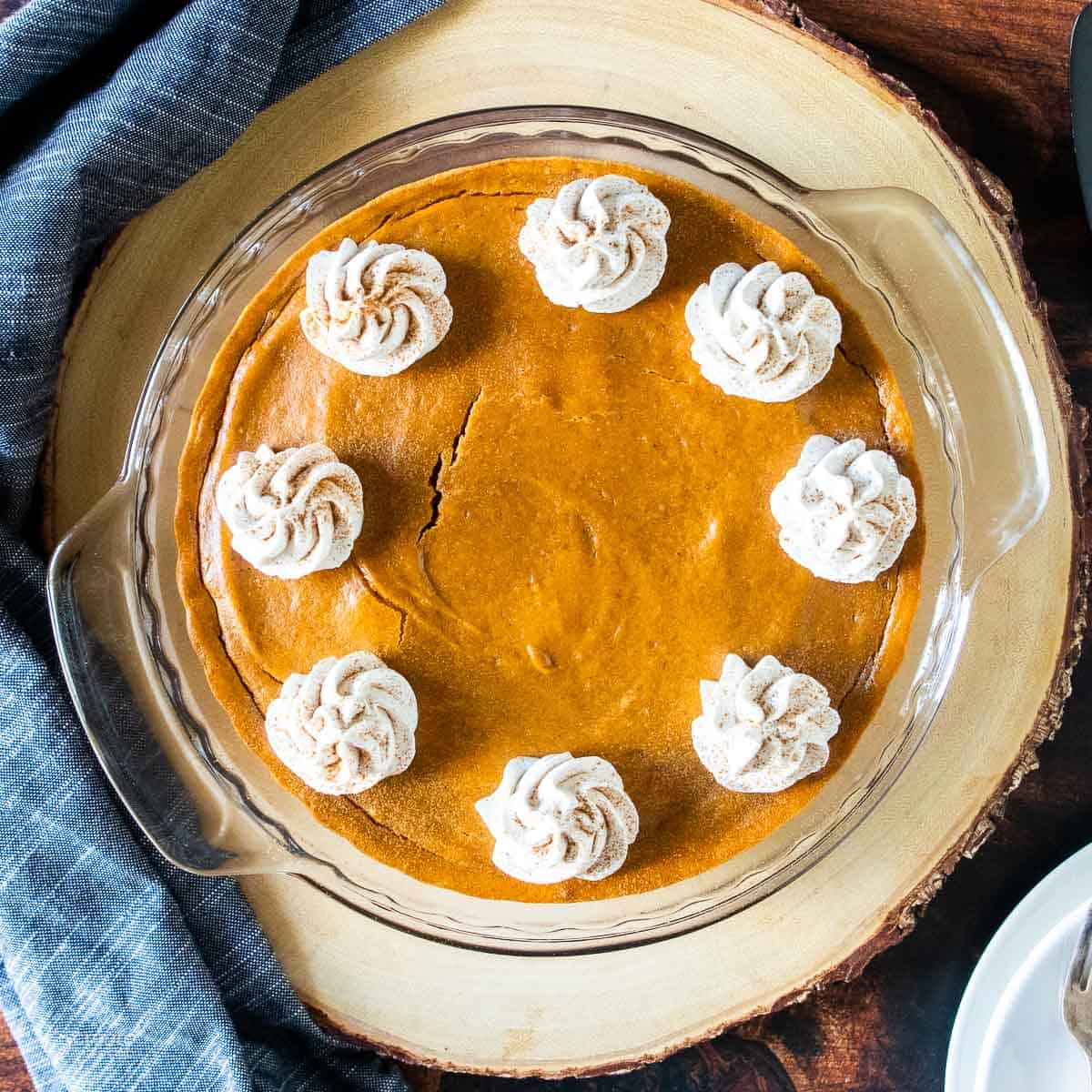 dollops of whipped topping on a pumpkin pie