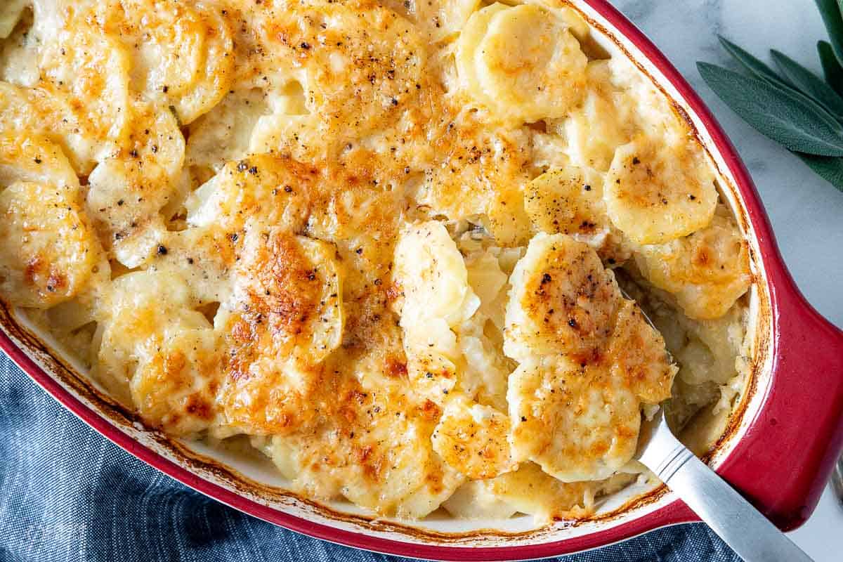 close up view of spoon serving scalloped potatoes