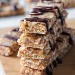 coconut chocolate protein bars