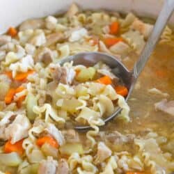 ladle scooping a serving of chicken noodle soup
